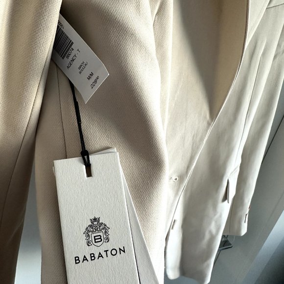 Aritzia Agency Blazer - T (Birch Color) - Picture 3 of 3